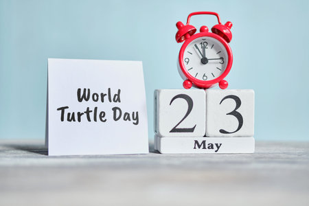 23 twenty third World Turtle day May Month Calendar Concept on Wooden Blocks. Close up.