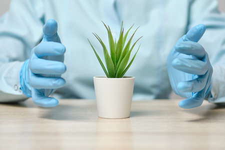 Ecology and nature protection concept. Gloved hands protect the plant. Close up.