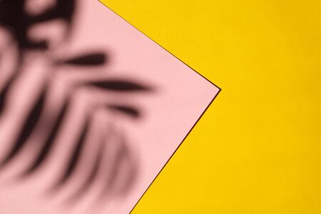 The shadow of a palm tree on a pink yellow background.の写真素材
