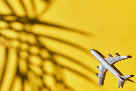 Toy airplane on yellow with a shadow of a palm tree and top view