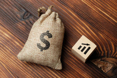The concept of wealth and savings growth. A bag of money with a graphic iconの写真素材