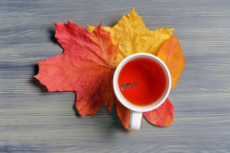 Mug of tea on autumn dried leaves and wooden background.の写真素材