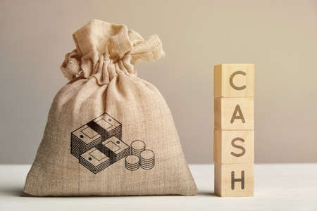 Money icon on bag concept with cash inscription.の写真素材