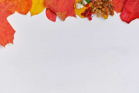 Autumn concept with leaves and minespace on a wooden background.の写真素材