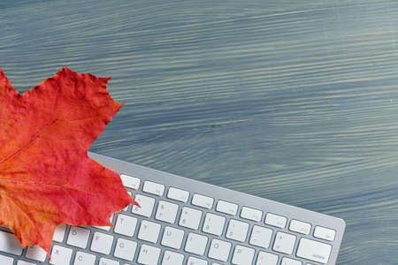Autumn concept with leaves and keypad copace on a wooden background.の写真素材