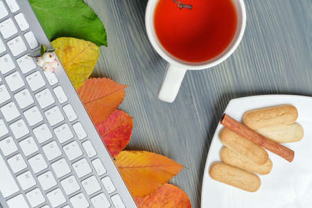 Top view concept autumn with tea and dry leaves and copy space.の写真素材