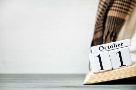 eleventh day of autumn month calendar october with copy space.の写真素材