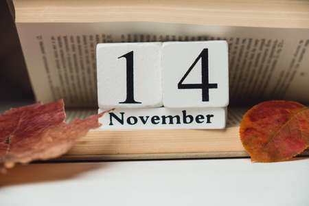 fourteenth day of autumn month calendar November.の写真素材