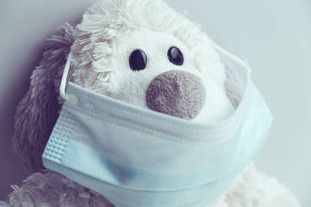 Plush toy medical mask as a concept of self-isolation from coronavirus covid-19.の写真素材