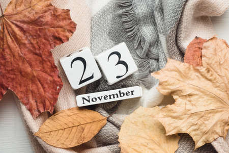 twenty third day of autumn month calendar November.の写真素材