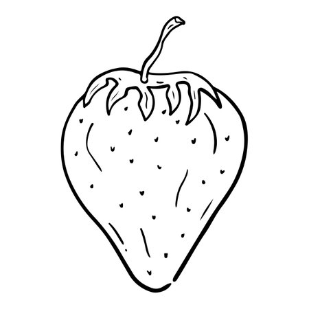 hand drawn sketch Strawberry in doodle styleのイラスト素材