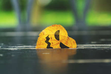 A malicious face painted on a leaf stuck in a tree. Halloween holidayの写真素材