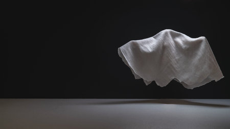 Ghost flies with copy space. Halloween holidayの写真素材