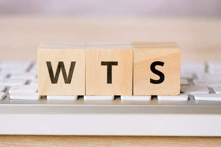 The concept of game terms for trading WTS - want to sellの写真素材