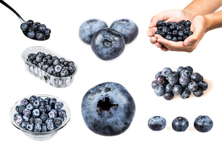 Blueberry isolatedの写真素材