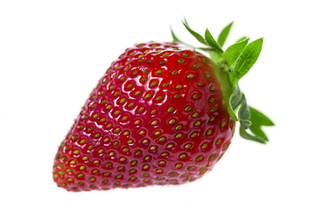 One strawberry cluse-up isolatedの写真素材