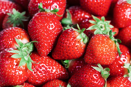 Background of red strawberriesの写真素材