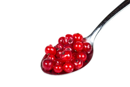 Red currants in spoonの写真素材