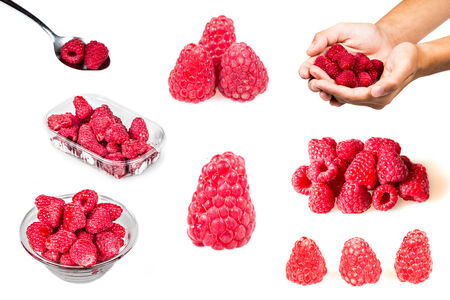 Raspberry set isolatedの写真素材