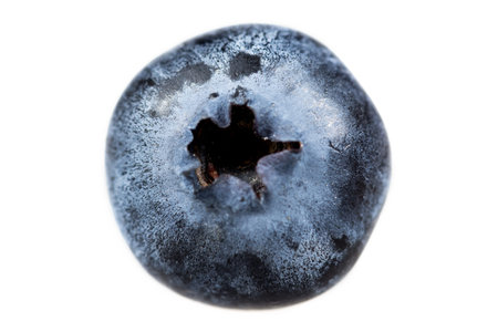 Fresh blueberry or bilberry isolated on white backgroundの写真素材