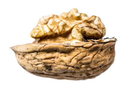 Half a walnut isolated on a white backgroundの写真素材