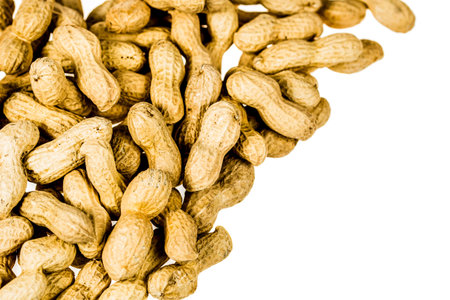 A pile of roasted peanuts background