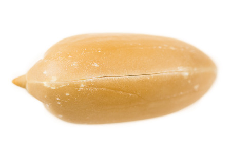 Peanut isolated peeledの写真素材