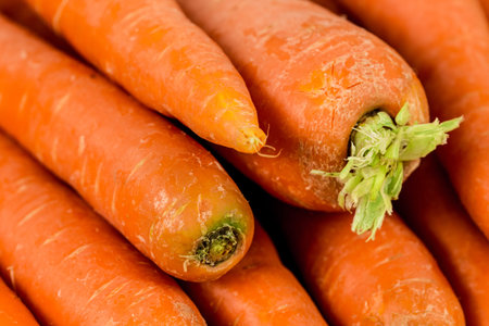 Carrots background close up of the fresh young