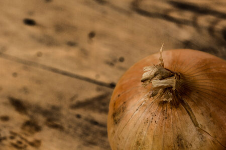 Onion on a rustic wooden tableの写真素材
