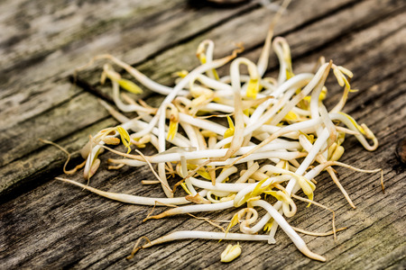 Bean sprouts on a wooden benchの写真素材