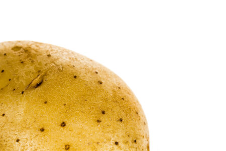 Potato isolated on white background closeupの写真素材