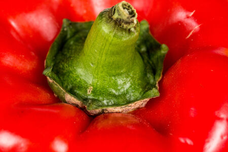 Red pepper backgroundの写真素材