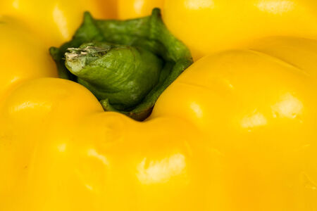 Yellow pepper backgroundの写真素材
