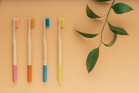 Wooden toothbrushes on color backgroundの写真素材