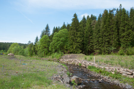 Innerste river in the Harz mountains in Germany