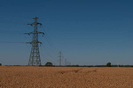 power lines cross a grain field in Denmarkの写真素材