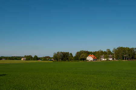 Danish agricultural landscape on a summer dayの写真素材
