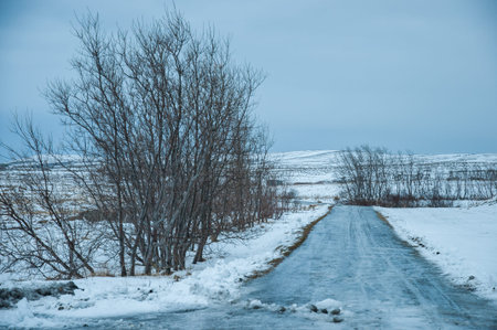An iced road on the island of Hrisey in Northern Icelandの写真素材