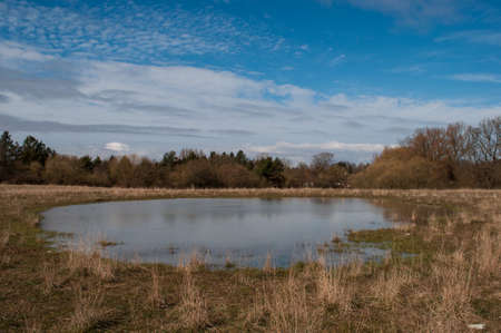 A pond in a Danish fieldの写真素材