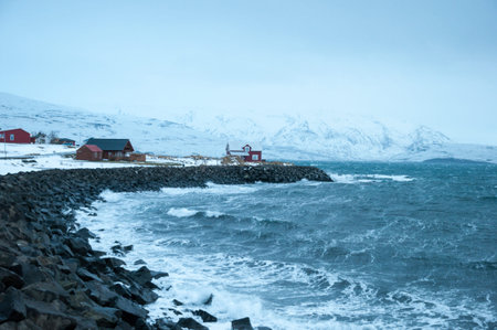 Waves at the coast of Hrisey in Iceland during a winter stormの写真素材