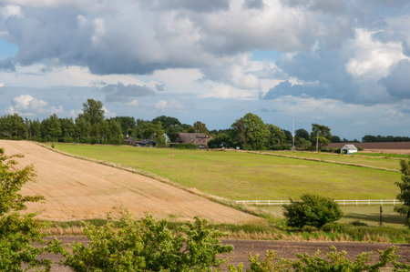 an open field on the island of Oroe in Denmarkの写真素材