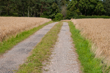 small road on island of Oroe in Denmark