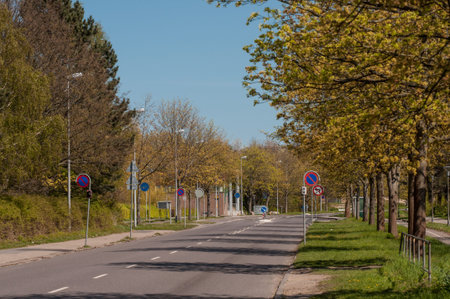 road on Vordingborg in Denmarkの写真素材