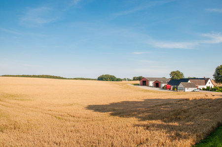 Farm on island of Moen in Denmarkの写真素材