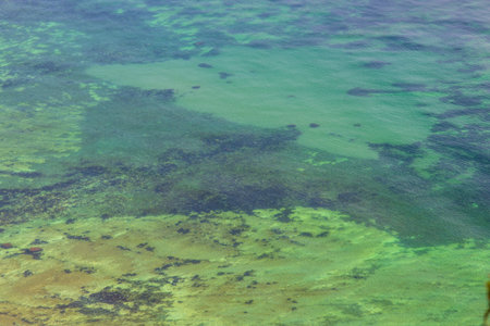 Danish undersea landscape near the coastの写真素材