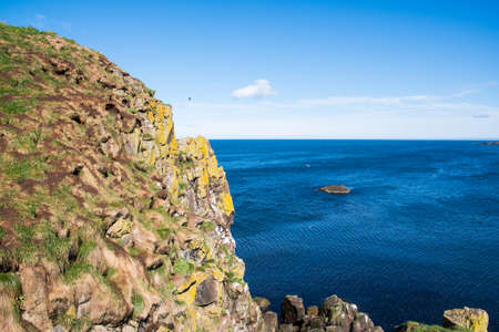 Hafnarholmi cliff in Borgarfjordur Eystri in east Icelandの写真素材