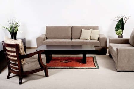 Well decorated modern living room interior with brownish couchesの写真素材