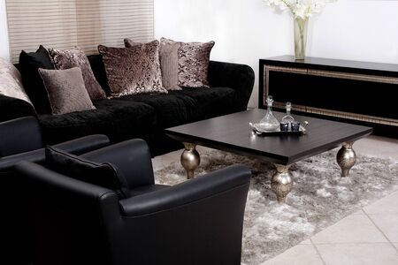 Contemporary sofa in modern living room, royal viewの写真素材
