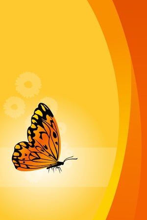 illustration of  floral background with butterflyの写真素材