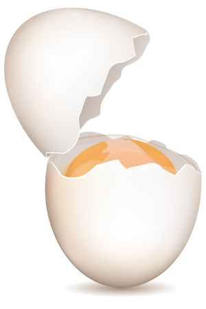 illustration of broken egg on white backgroundのイラスト素材